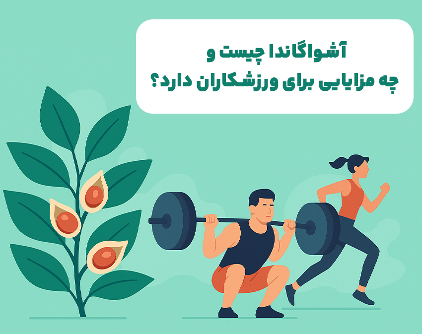 آشواگاندا چیست؟